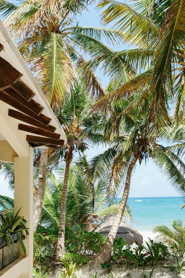 Bed & Breakfast Olas Tulum